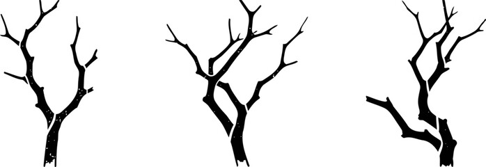 Obraz premium set of three black bare tree branches silhouettes isolated on white background