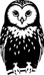 Fototapeta premium Black and white owl illustration detailed bird design with feathers, claws, and intense eyes