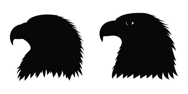 Eagle head silhouette vector illustration, Hawk head black silhouette, Majestic bald eagle head 