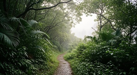 Obraz premium Misty Forest Path Winding Through Lush Greenery.