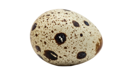 Speckled quail egg isolated PNG on transparent background, brown spotted bird egg for Easter and culinary design