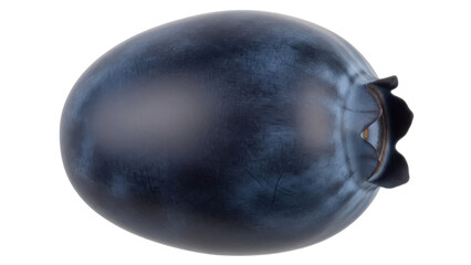 Fresh blueberry PNG isolated on transparent background, single dark blue berry with stem for healthy eating and fruit concepts © Cristian