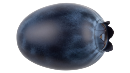 Fresh blueberry PNG isolated on transparent background, single dark blue berry with stem for healthy eating and fruit concepts