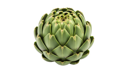 Fresh green artichoke isolated PNG, healthy vegetable for vegan and vegetarian cooking on...