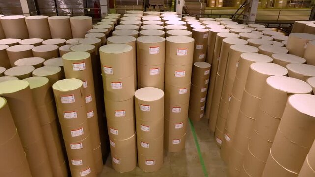 Warehouse of rolls of paper and cardboard. Paper industry
