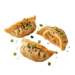 Crispy dumplings with sesame and green onions isolated on transparent background