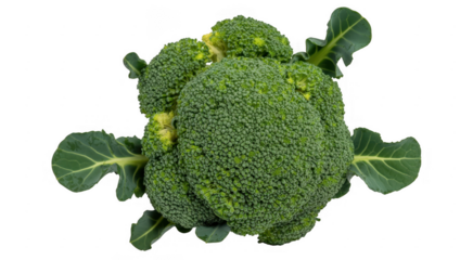 Fresh green broccoli vegetable isolated on a transparent background