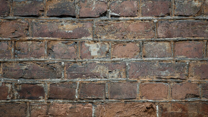 Fototapeta premium old brick wall close up