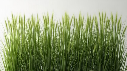 Vibrant green grass blades against a soft background