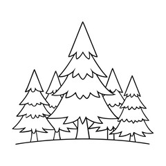 Obraz premium Towering coniferous trees with needle-like leaves form dense evergreen forests, spreading a fresh pine scent and creating calm, shaded landscapes all year. 