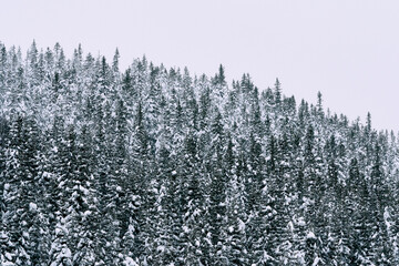Oksbakklia Hill, part of the Toten&aring;sen Hills, Norway, January 2026.