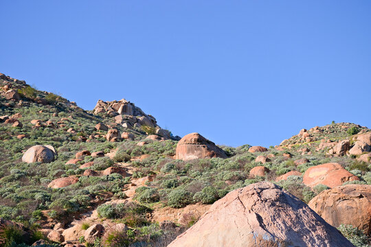 Rocky hillside on Mount Rubidoux in Riverside, California, covered with chaparral and boulders beneath a clear blue sky.