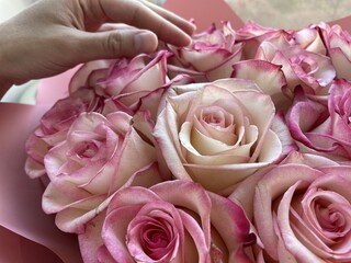 Hand gently touches a bouquet of pink roses.