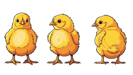 Two adorable, fluffy yellow chicks stand side-by-side against a white background. Perfect for themes of spring, new beginnings, and innocence. © Vira