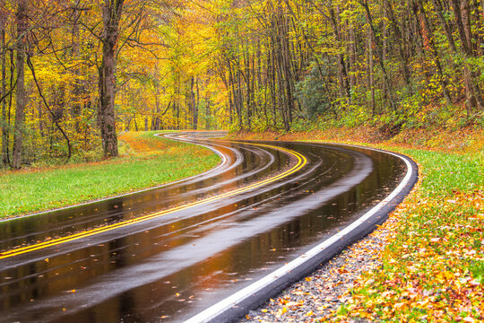Fall foliage on a curvy road in the Smoky Mountains