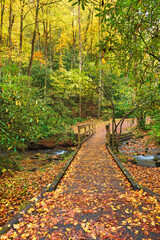 Bridge to Mingus Mill in the Great Smoky Mountains