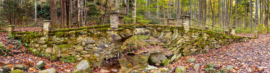 Elkmont Troll bridge in the Smoky Mountains