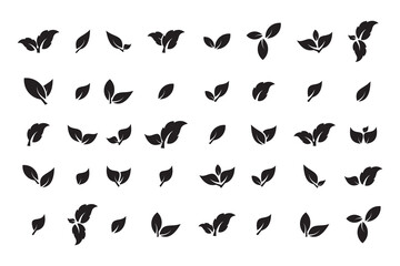 set of Leaf Icon Vector, green and black leaf icon, Leaves icon set.