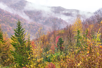 Fall foliage and smoke rolling through the Smoky Mountains.