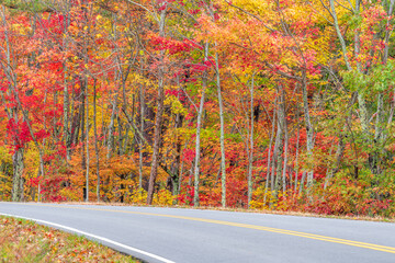 Fall foliage on a curvy road in the Smoky Mountains
