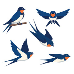 Swallows in Various Flying Poses vector Illustration set of stylized blue and white swallows in different flight positions and perching, ideal for nature or spring designs
