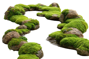 Moss-covered stones forming a winding path in nature