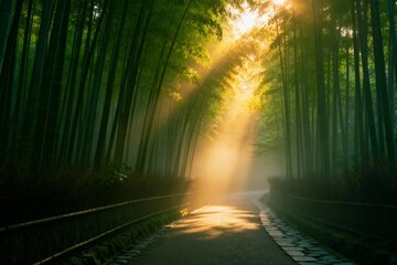 Sunlight filtering through a misty bamboo forest pathway