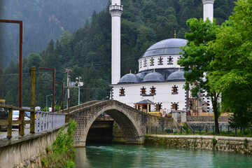 Obraz premium A foggy day in Uzungol - Caykara, Trabzon - Turkey (Türkiye)