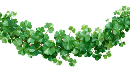 a lush green vine with leaves on a black background