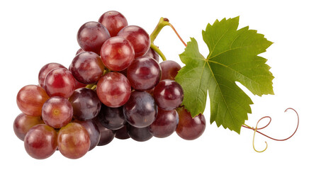 Fototapeta premium Bunch of red grapes with green leaf fruit isolated on a transparent background