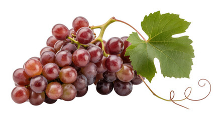 Fototapeta premium Bunch of Red Grapes with Leaf bunch of grapes isolated on a transparent background