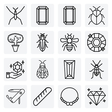 Macro Insect Life &ndash; Detailed Illustrations Of Beetles, Bees, And Bugs For Scientific And Educational Use