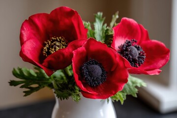 A vibrant bouquet of red anemone flowers with dark centers, elegantly arranged in a white vase, showcasing their striking beauty and lush green foliage.