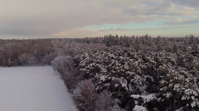 Vast Winter Landscape park Groeneveldd, Baarn, the Netherlands