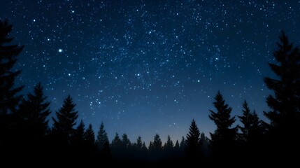 Fototapeta premium Deep blue night sky densely packed with twinkling stars silhouetting a dark pine forest against the horizon