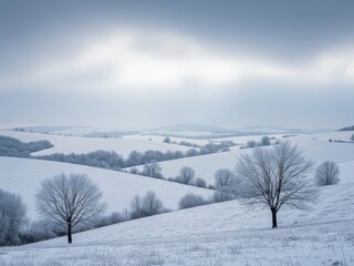 Obraz premium Peaceful winter landscape under overcast sky with soft natural daylight