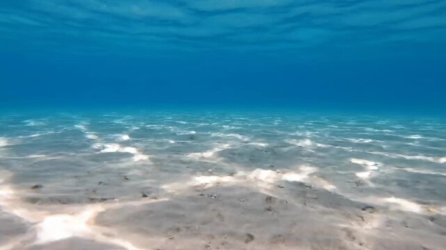 Tranquil underwater scene of blue ocean water and sand sea bottom, sunlight reflecting off the seabed.