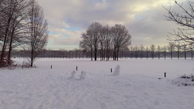 Snowy Meadows and Trees at park Groeneveld, Baarn,  the Netherlands