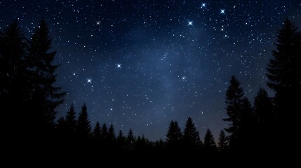 Fototapeta premium A tranquil night sky filled with countless stars above the dark silhouettes of a pine forest