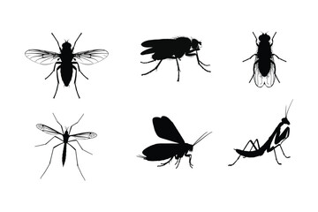 Set of insect vector silhouettes isolated on white background.
