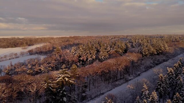Transition from Forest to Snowy Meadows