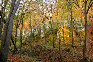 Autumn landscape with picturesque rocks in the forest. Nature of Poland