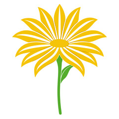 gazania giant yellow striped vector line art on white background