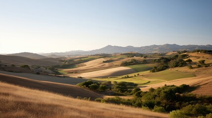 Fototapeta premium Sunlight shines on rolling hills with green patches and dry grass in California landscape