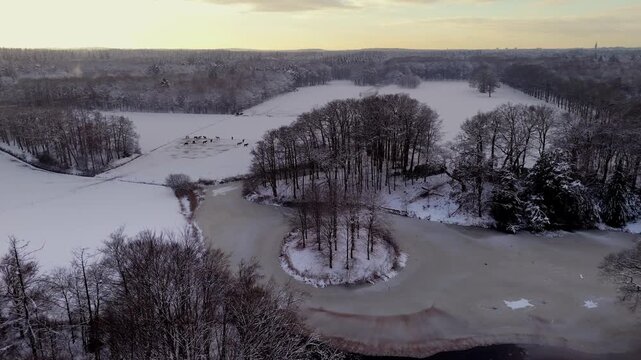 Top-down Drone View of Snowy Island and Forest