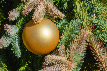 large golden Christmas ball decorating a fir tree