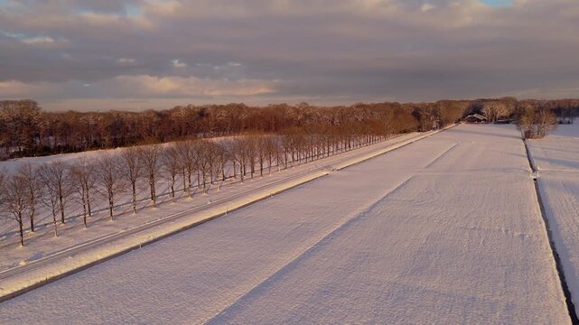 Snowy Meadows and Trees at park Groeneveld, Baarn,  the Netherlands