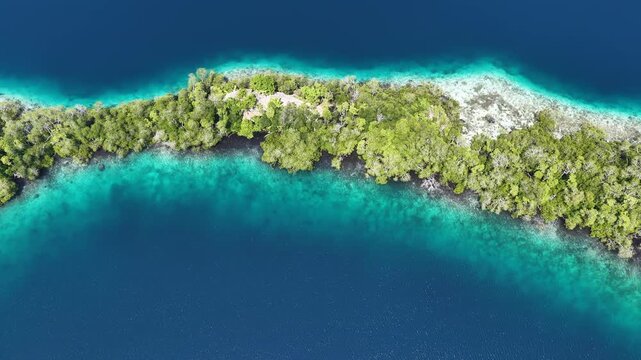 Shallow coral reefs fringe the beautiful islands of Pef, Raja Ampat, Indonesia. This region harbors spectacular marine biological diversity and is a popular destination for divers and snorkelers.