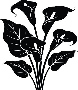 Elegant calla lily flower silhouette vector illustration with blooming petals and lush tropical garden leaves