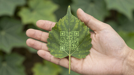 Close-up of a hand holding a bright green leaf etched with a QR code, symbolizing the fusion of natural agriculture and digital financial tracking